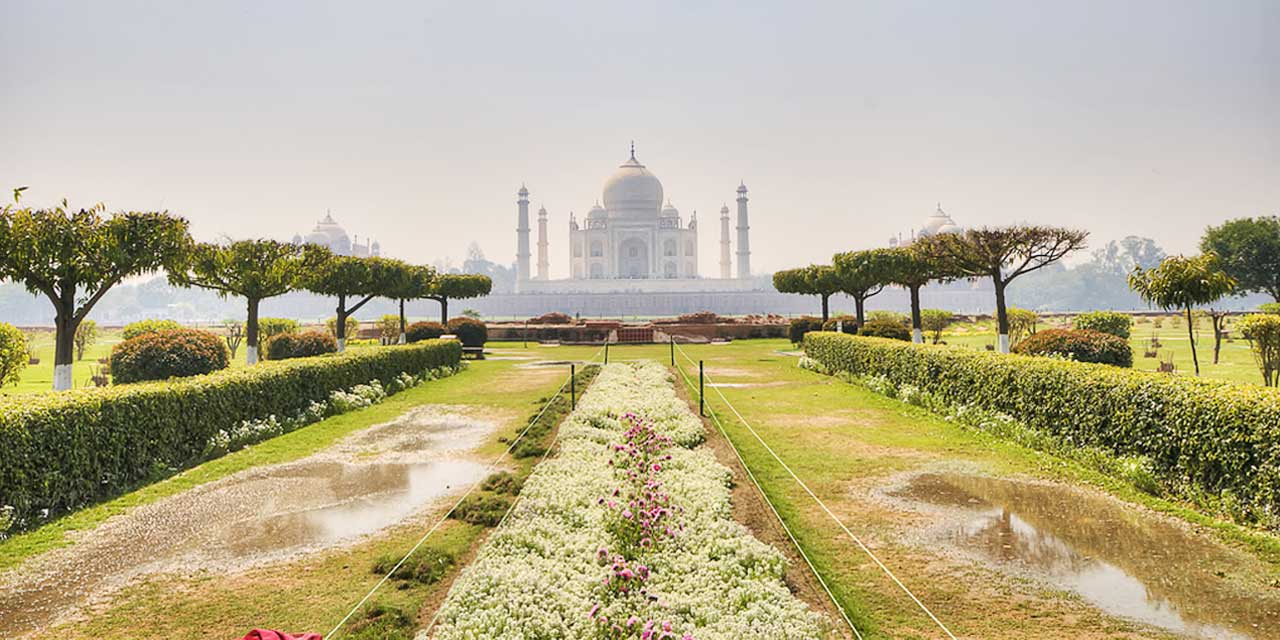 Same Day Tours
