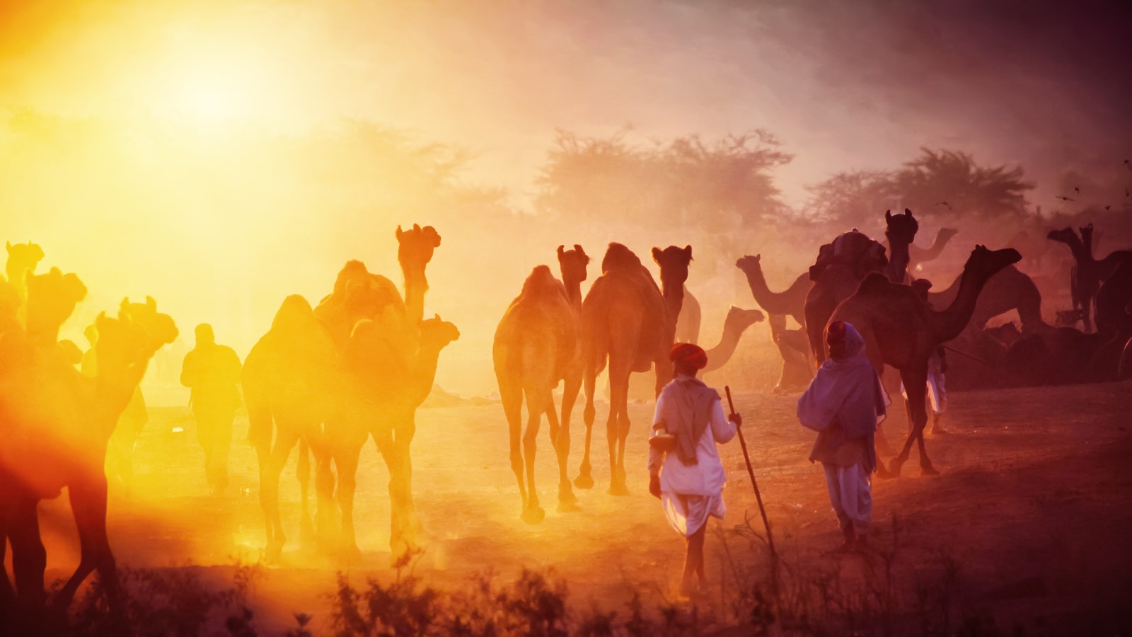Rajasthan City Tour 12N 14D