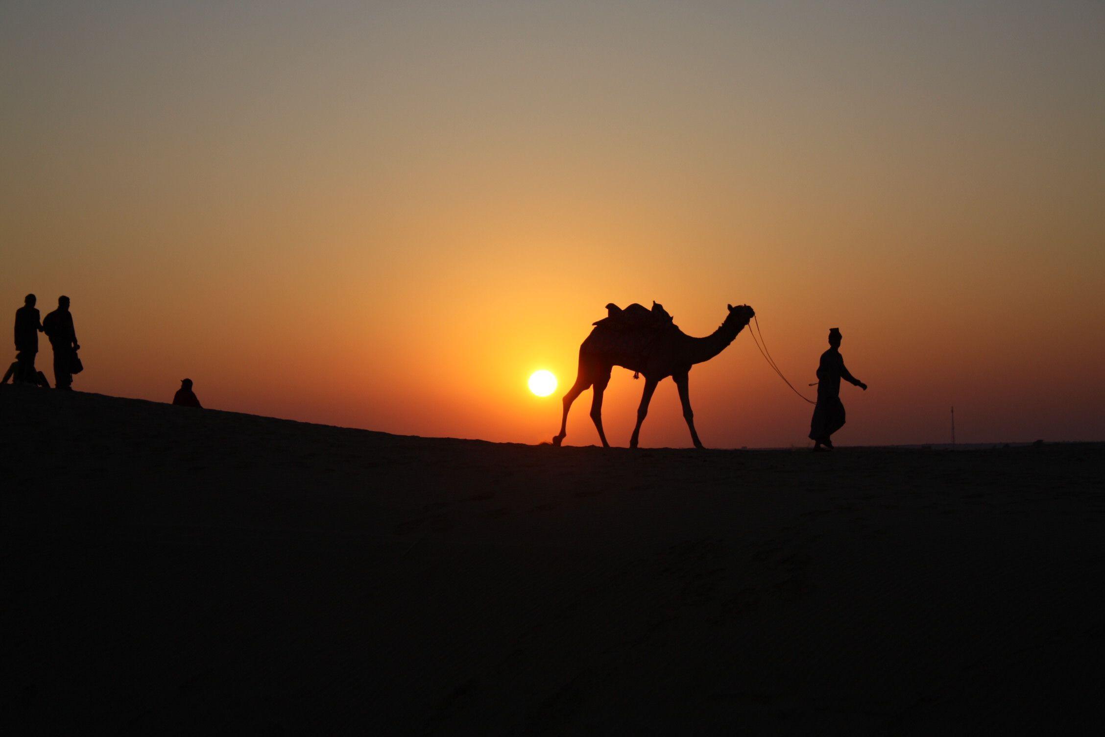 Rajasthan Multi Culture Tour 11N 12D