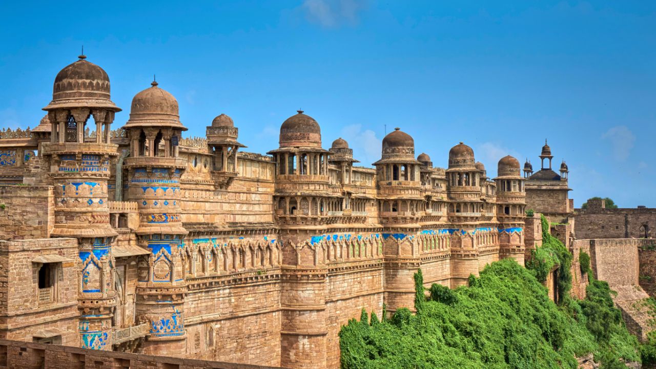 Same Day Tours