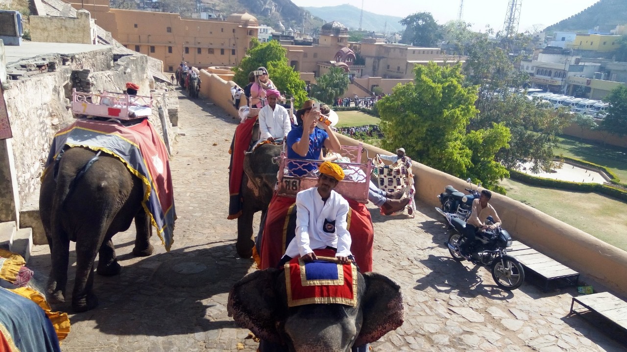 Same Day Tours