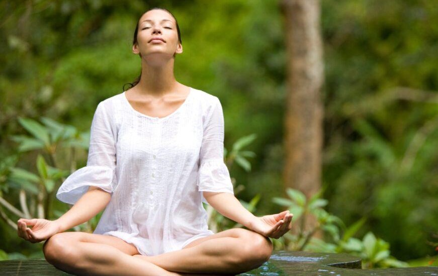 Taj Yoga Tour
